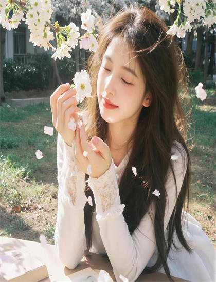 《温柔安静的女人们》有哪些精彩看点？亮点情节详细专业解析